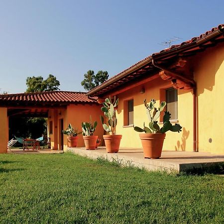 Le Pettegole Del Boschetto Villa Castiglione della Pescaia Dış mekan fotoğraf