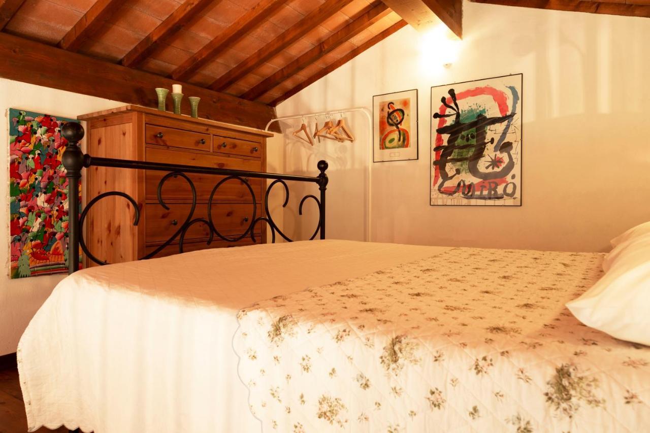 Le Pettegole Del Boschetto Villa Castiglione della Pescaia Dış mekan fotoğraf